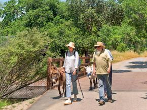 750 Los Robles Avenue, Palo Alto CA 94306