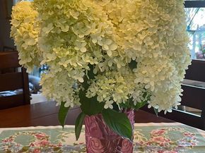 18 Linden Road, Watsonville CA 95076