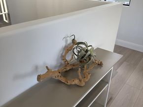 339 Monterey Street, Brisbane CA 94005