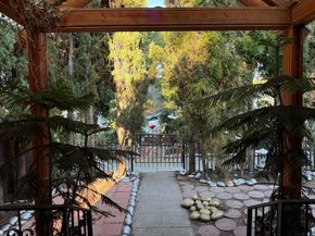 677 Elm Street, San Jose CA 95126