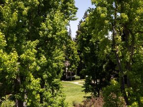 699 Manresa Lane, Los Altos CA 94022
