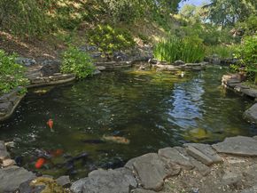 12359 Farr Ranch Road, Saratoga CA 95070