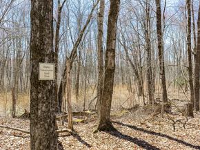 72 Nw Schoolhouse Rd, Dudley MA 01571