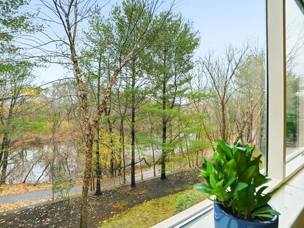 290 Pleasant St 220, Watertown MA 02472