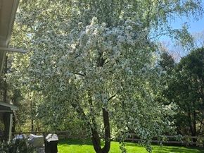 1187 West St, Walpole MA 02081