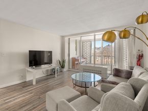 33 Pond Ave 919, Brookline MA 02445