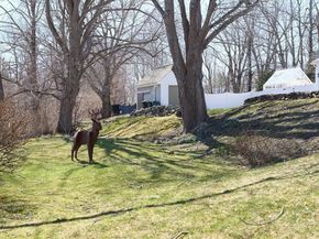 685 Highland St, Marshfield MA 02059