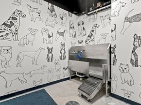 1515 Commonwealth Ave 508, Boston MA 02135