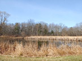 336 King St 105, Littleton MA 01460