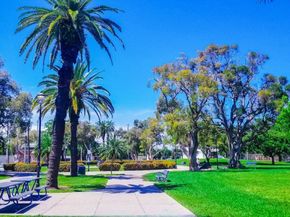 802 Euclid Ave 301, Miami Beach FL 33139