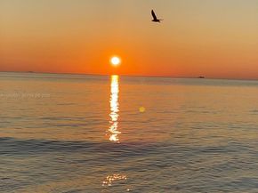 802 Euclid Ave 301, Miami Beach FL 33139