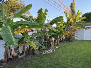 16605 SW 103rd Ct, Miami FL 33157