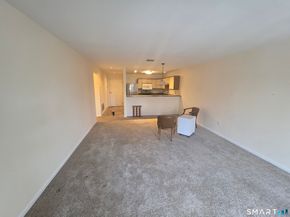 136 Deer Hill Avenue 308, Danbury CT 06810