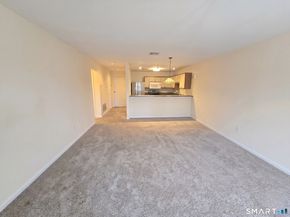 136 Deer Hill Avenue 308, Danbury CT 06810