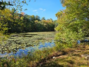 115 Mayapple Road, Stamford CT 06903