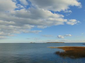 42 S Main Street 202, Norwalk CT 06810