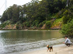 1 Bristol Court 521, San Francisco CA 94130