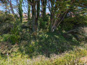 727 Lockhaven Drive, Pacifica CA 94044