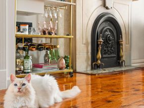 154A Hicks Street, Brooklyn NY 11201