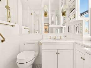 710 Park Avenue 19C, New York NY 10021