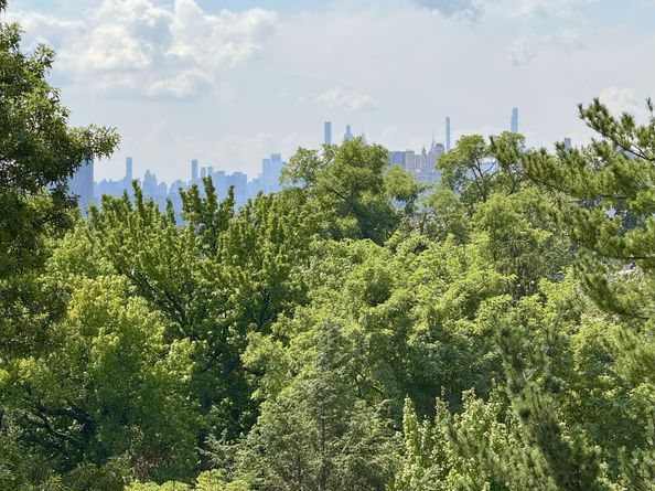 3135 Johnson Avenue 10C, Bronx NY 10463