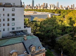 1050 5th Avenue 15C, New York NY 10028