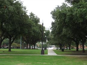3200  Ross Avenue  42, Dallas Texas 75204