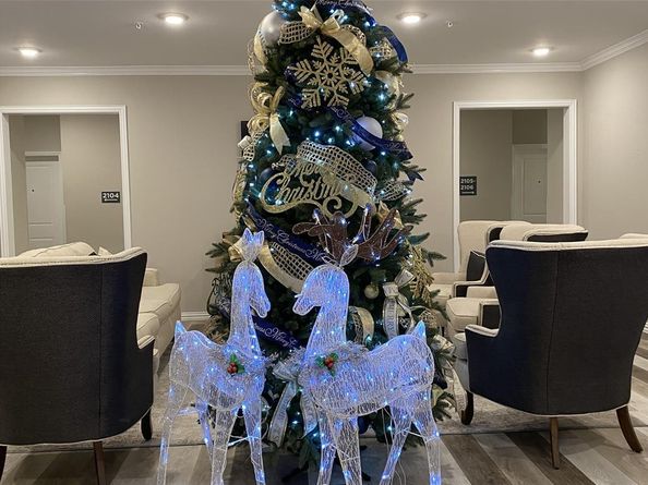 1735  Wittington Place  2203, Farmers Branch Texas 75234