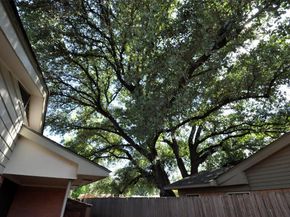 704  Ridgedale Drive , Richardson Texas 75080