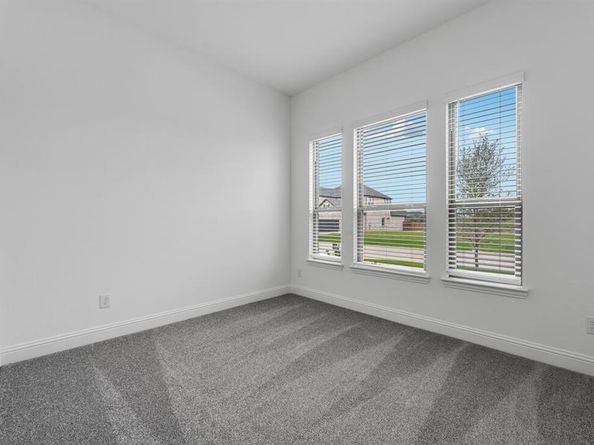 310  Trillium Street , Oak Point Texas 75068