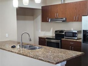 1100 W Trinity Mills Road  3003, Carrollton Texas 75006