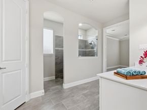 298  Auburn Hills Drive , Sunnyvale Texas 75182