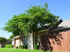 1800  Maplewood Trail , Colleyville Texas 76034