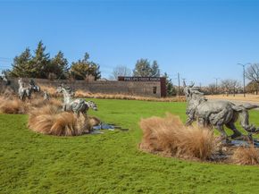 7247  Goose Creek Road , Frisco Texas 75036