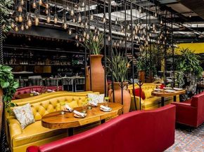 1504  Burlew Street  101, Dallas Texas 75204