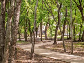 920  White River Drive , Allen Texas 75013