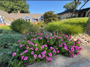 14  Lakeway Drive , Heath Texas 75032