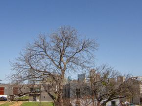 1529  Seegar Street , Dallas Texas 75215