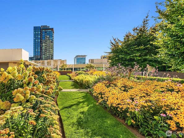 588 Bell Street 1804S, Seattle WA 98121