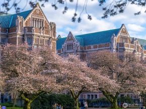 905 NE 43rd Street 311, Seattle WA 98105