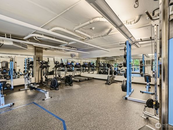76 Cedar Street 806, Seattle WA 98121