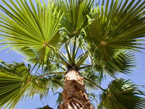 12525 Julian Avenue, Lakeside CA 92040