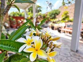 508 Dakota Way, Oceanside CA 92056