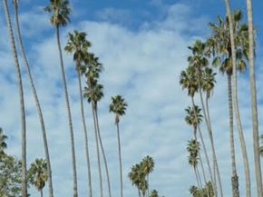 817 5th Street B, Santa Monica CA 90403