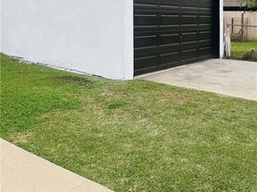 3834 West Blvd, Los Angeles CA 90008