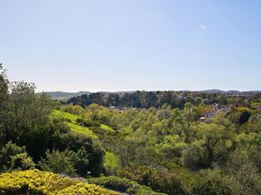2101 Timneh Court, Oceanside CA 92057