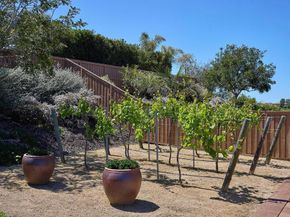 2101 Timneh Court, Oceanside CA 92057