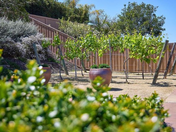 2101 Timneh Court, Oceanside CA 92057