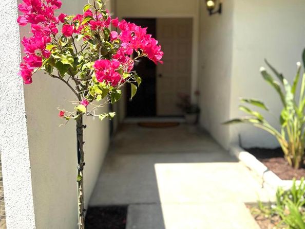 7019 Estrella De Mar Road, Carlsbad CA 92009