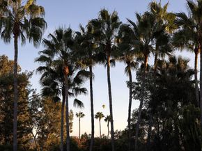 6977 Las Colinas, Rancho Santa Fe CA 92067